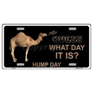 USA Novelty Number Plate - Guess What Its Hump Day