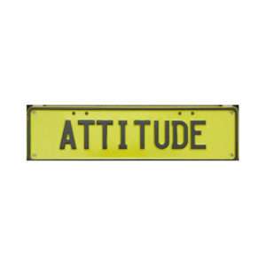 Novelty Number Plate - Attitude