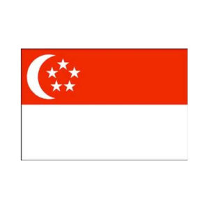 Singapore Flag 5' x 3'