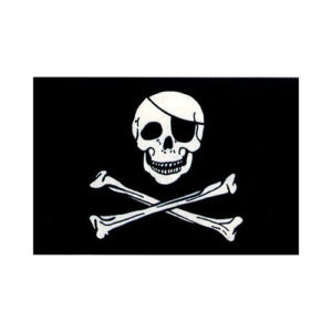 Skull And Cross Bones Flag 5' x 3'