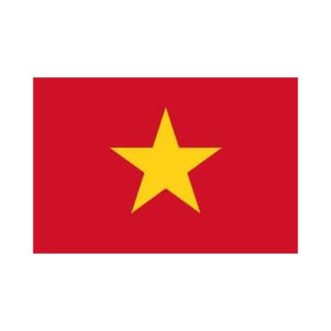 Vietnam Flag 5' x 3'