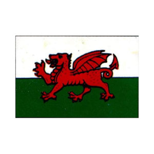 Wales Flag 5' x 3'
