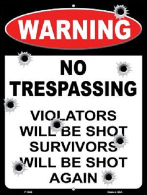 Sign - Warning: No Trespassing