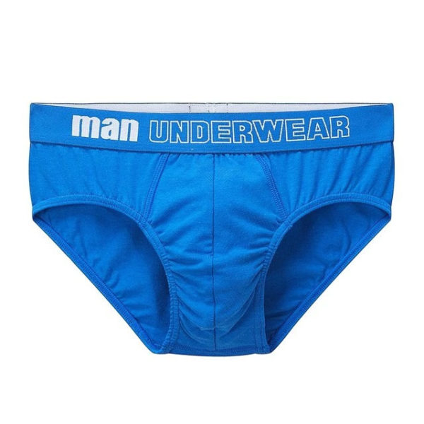 Man Underwear Mens Briefs Blue