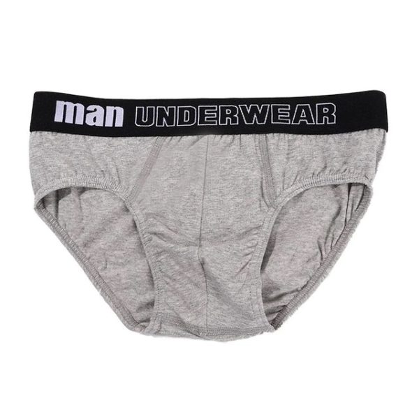Man Underwear Mens Briefs Grey