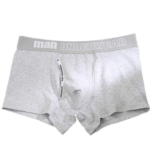 Man Underwear Mens Trunks Grey